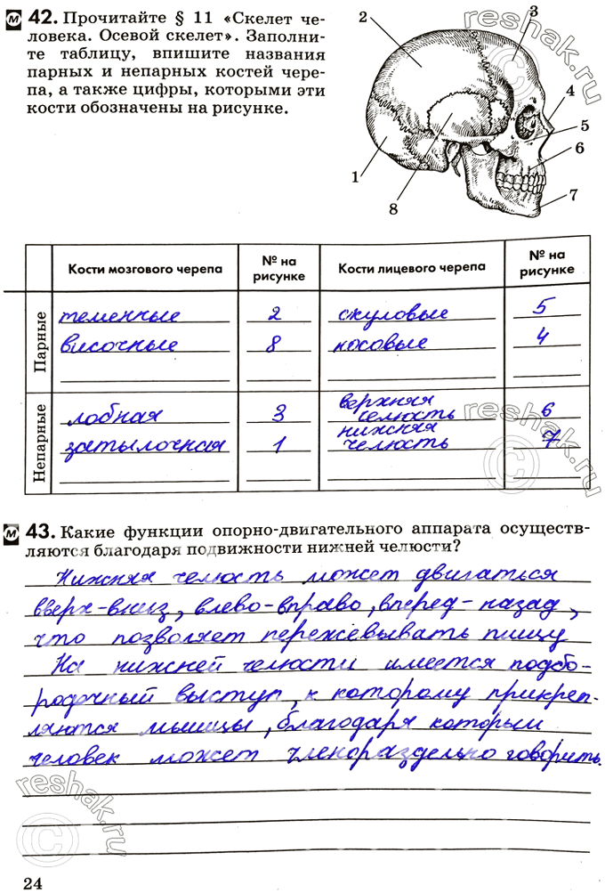 Изображение 42. Прочитайте § 11 «Скелет человека. Осевой скелет». Заполните таблицу, впишите названия парных и непарных костей черепа, а также цифры, которыми эти кости обозначены...